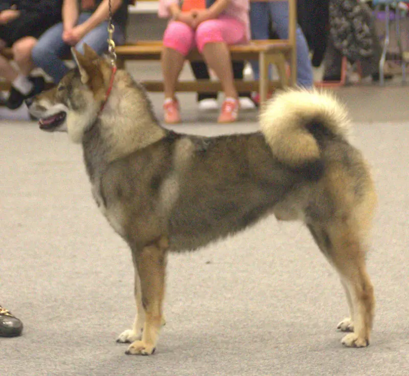Shikoku, photo 4